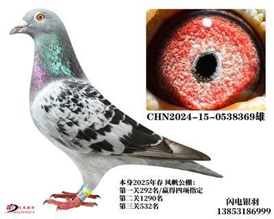 25괺緫532/ZD