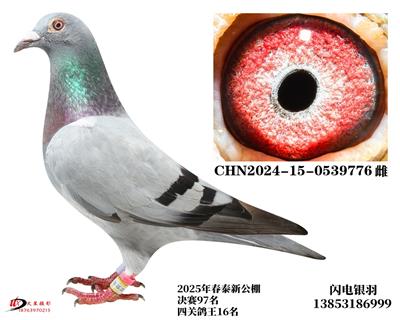 25괺̩¹Qِ97/ZD