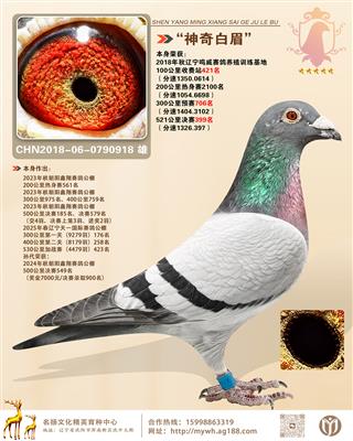 ü빫399