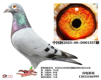 23Ĺۺ42/Ժ/HX