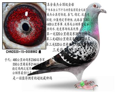 ɣʿʯĸ
