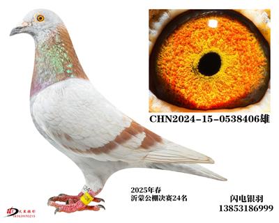 2025괺ɹQِ24/HX