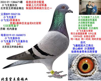 ȡСw꡿ֱOŮ