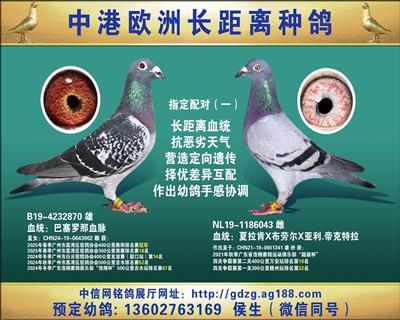 WL(zhng)xN䌦(du)һ