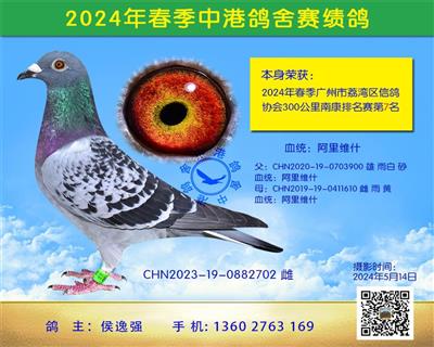 2024괺300Ͽվ7