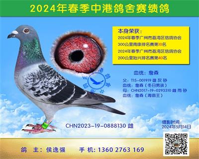 24괺300Ͽվ10