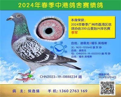 24괺200ʼվ
