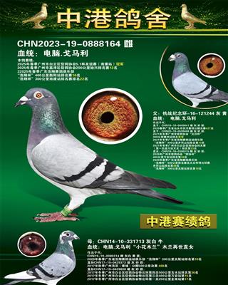 25ꡰ걭Ͽվھ