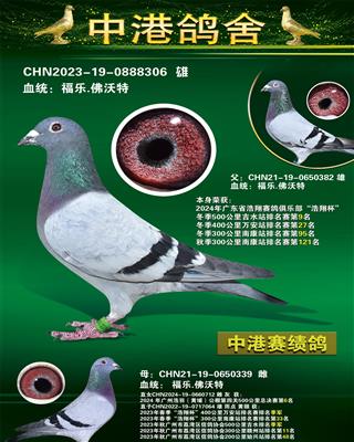 24궬500Ｊˮվ9