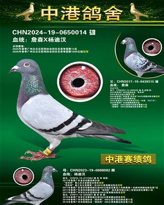 2025괺Ĺ10