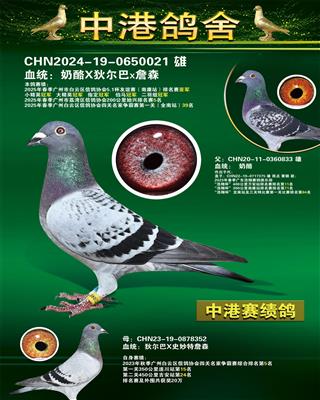 25괺200ʼվ5