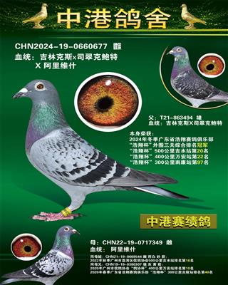 2024궬ۺھ