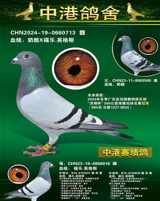2024궬300Ͽվھ