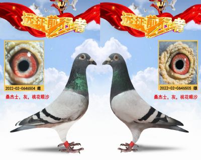 ɣʿһԣ
