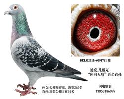 游