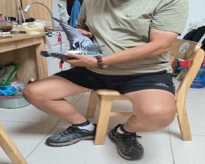 ͼƬ