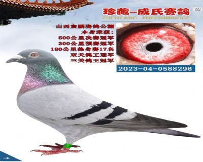 С