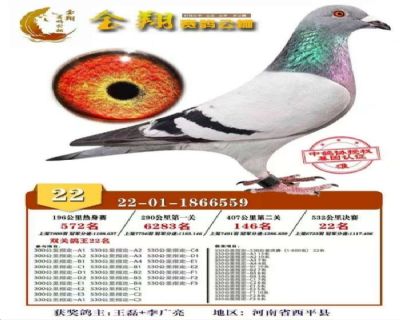 빫22