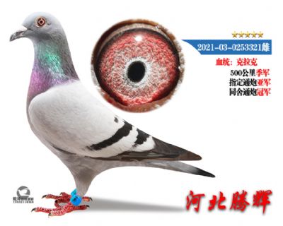 δ