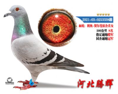 δ