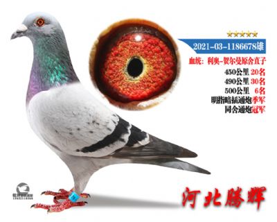 δ