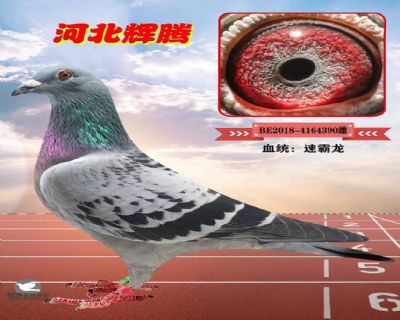 δ