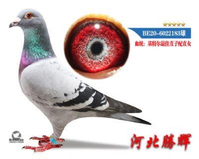 δ