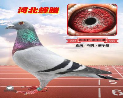 δ