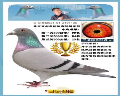 Ҽ̖ű