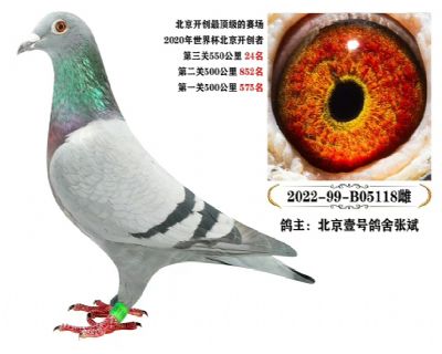 Ҽ̖Ꮘ