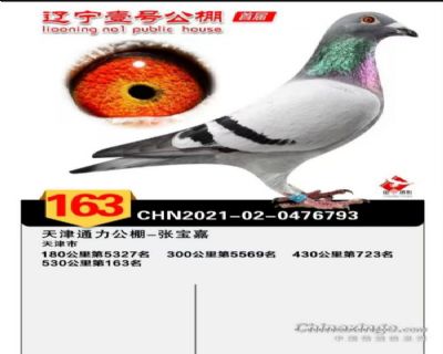 ҼŹ