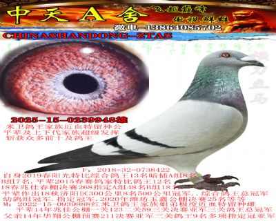 2025Ѫ.