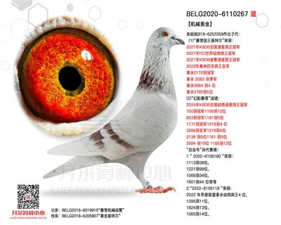 �Cе�S������̖�O