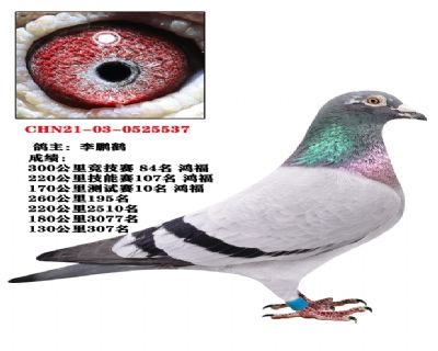δ
