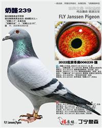 ĸ