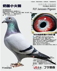 ĸ