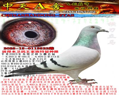 2025ִ522