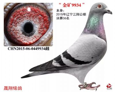 蹫.36