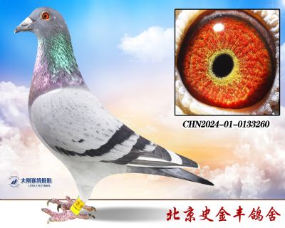 Ӣ˹178׻Ѫ