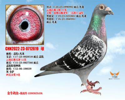 CHN2022-23-0712619 