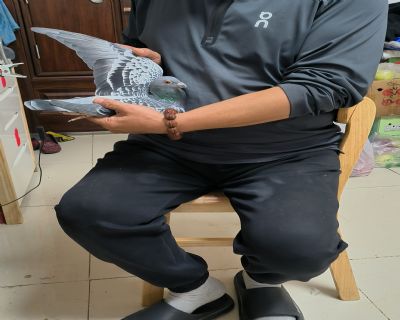 ͼƬ