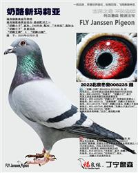 ĸ