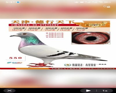 ����ɿ���