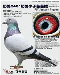 ĸ