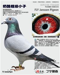 ĸ