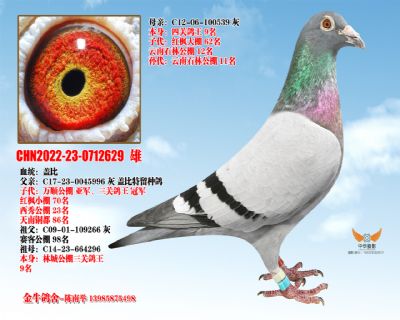 �Ǳ������ָ�