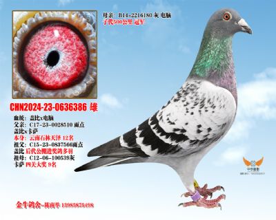 ������Ǳ�