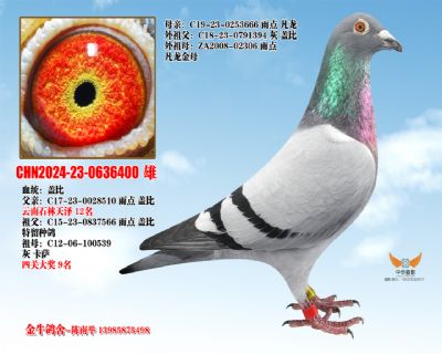 �Ǳ��䷲��