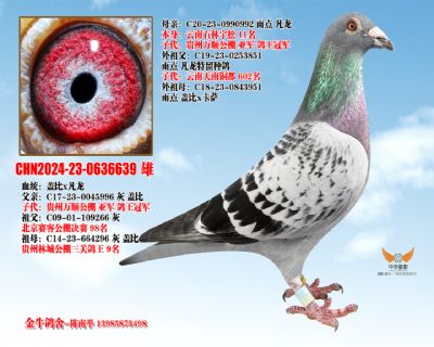 �Ǳ��䷲��