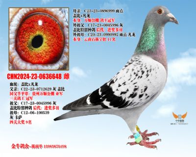 �Ǳ��䷲��